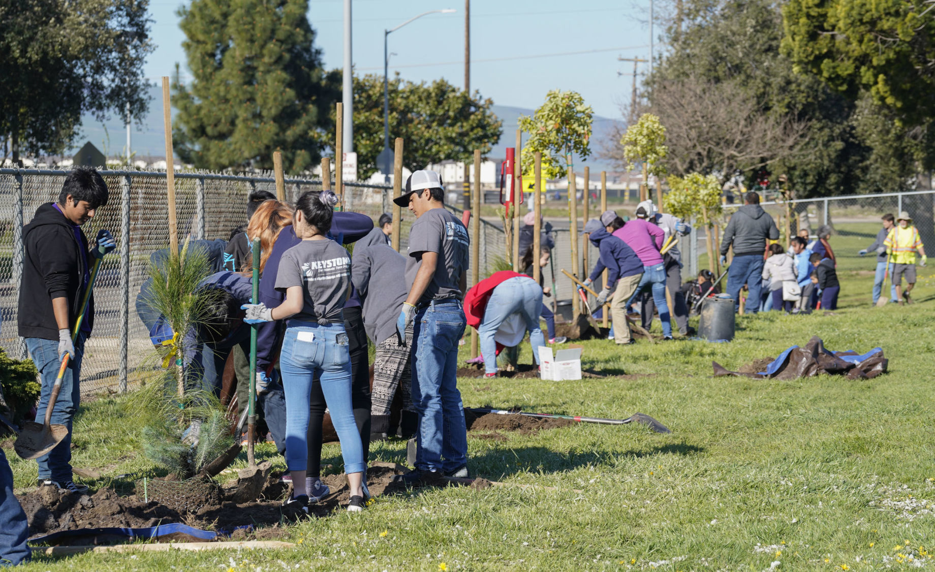 031619 Adam Elementary New Trees 09.jpg